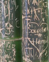 Bamboo Graffiti.