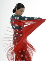 The Art of Flamenco in Andalucia