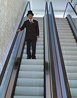 Slick functional escalator Sofitel