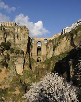 Ronda with Almond trees in Bloom