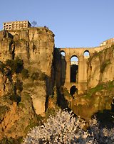 Signs of Spring in Ronda