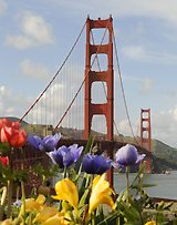 Golden Gate Bridge, S. Francisco