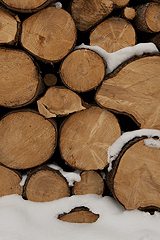 Snow-covered logs in Brigels