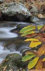 Autumn colours of Plasencia