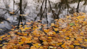 Autumn colours of Plasencia