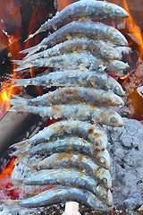 Sardinas al espeto in Malaga