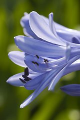 Natural beauty in the gardens of Precise Hotel 'El Rompido'.