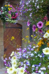 Beautiful fresh cascading flowers in Durham, UK.