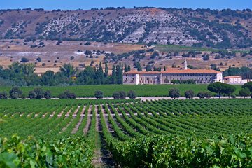 Stunning linear vineyards.
