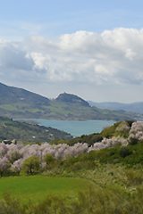 The breathtaking Andalusian countryside.