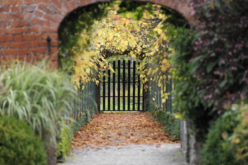The Autumn Gardens of Dromoland Castle, Clare, Ireland © Michelle Chaplow