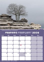 Calendar February 2008 Calendar February 2008