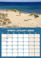 Calendar January 2008 Calendar January 2008