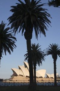 This image of silhouetted palm trees and the Sydney opera house was taken in the gardens surrounding the Park Hyatt Hotel. Can you believe that guests book rooms with one of the best views in the world and proceed to shut the curtains at night? Surely they can’t be photographers!
