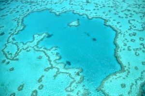 Hayman Island, Great Barrier Reef, Michelle Chaplow Photography