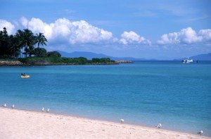 Hayman Island, Great Barrier Reef, Michelle Chaplow Photography